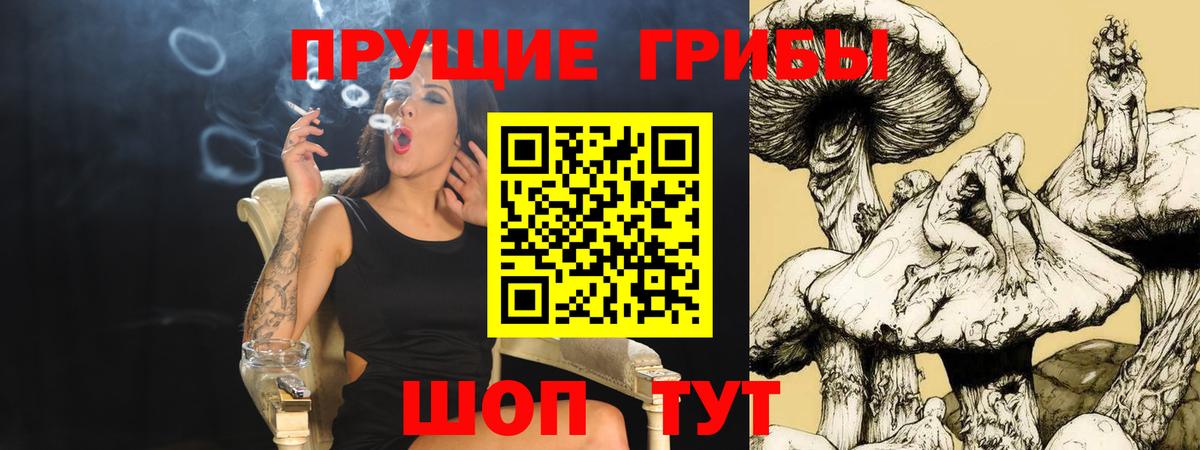 Ковров  Псилоцибиновые грибы Cubensis  Вход с VPN 